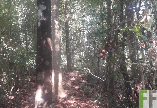 Finca Madera Fina 2019