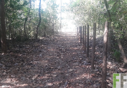 Finca Madera Fina 2019