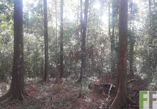 Finca Madera Fina 2019