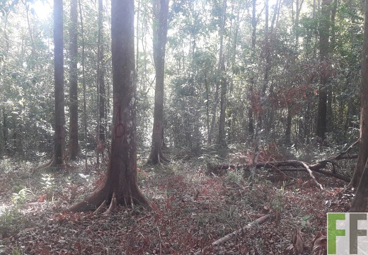 Finca Madera Fina 2019