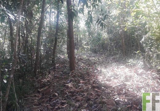 Finca Madera Fina 2019