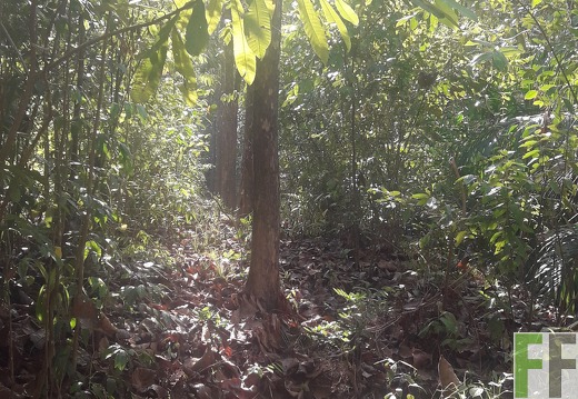 Finca Madera Fina 2019