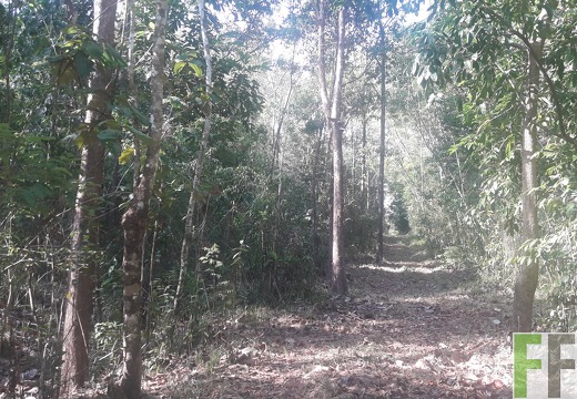 Finca Madera Fina 2019