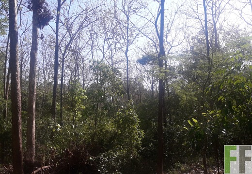 Finca Madera Fina 2019