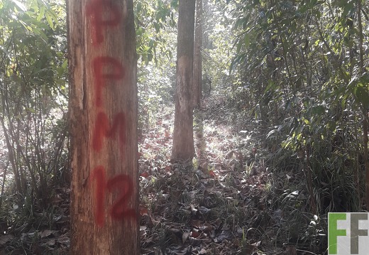 Finca Madera Fina 2019