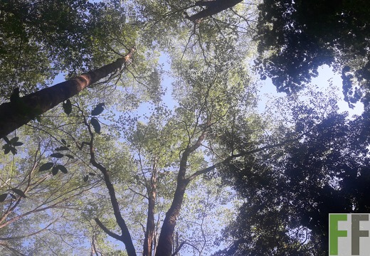 Finca Madera Fina 2019