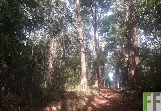 Finca Madera Fina 2019