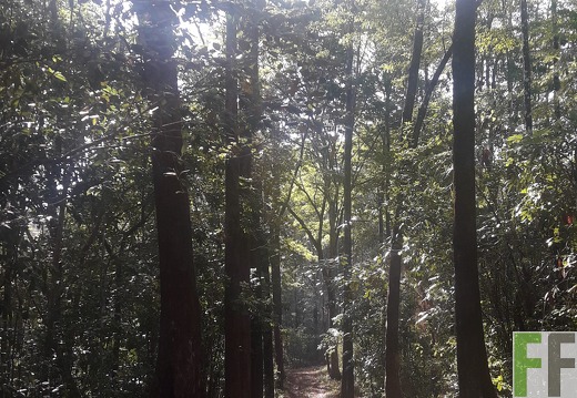 Finca Madera Fina 2019