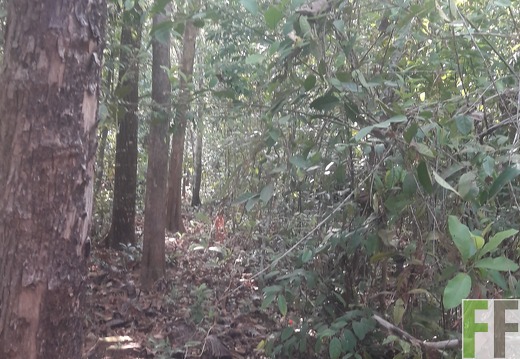 Finca Madera Fina 2019