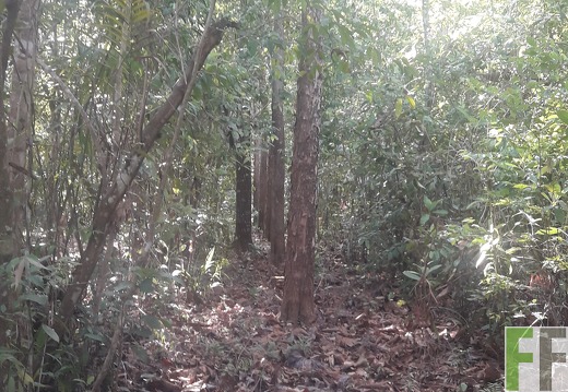 Finca Madera Fina 2019