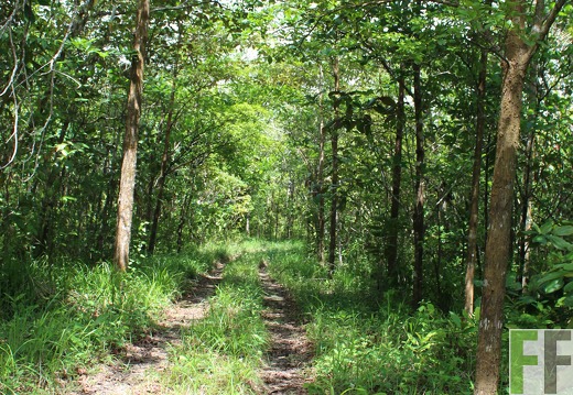 Finca Los Monos V 2019