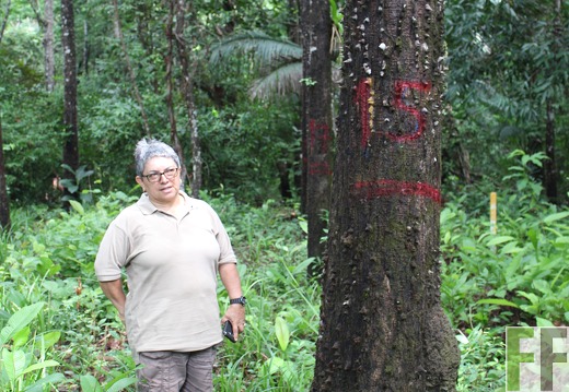 Finca Los Monos III 2019