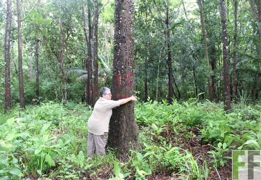 Finca Los Monos III 2019