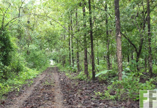 Finca Los Aromos 2019