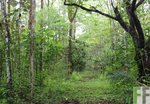 Finca Los Aromos 2019