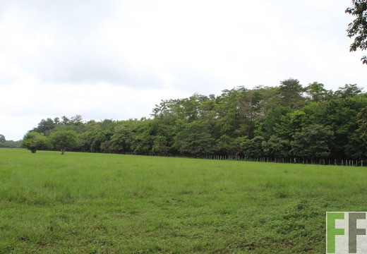 Finca Los Aromos 2019