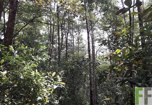 Finca Madera Fina 2019