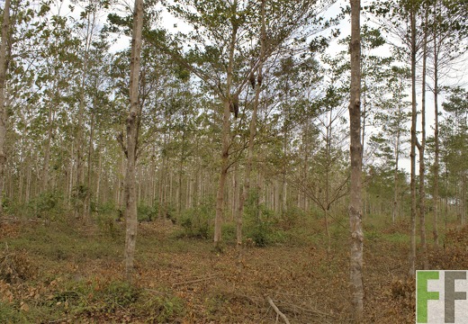 Finca Porto Chao III 2019