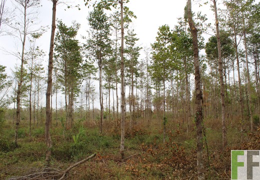 Finca Porto Chao III 2019