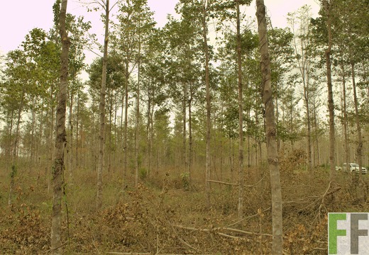 Finca Porto Chao III 2019