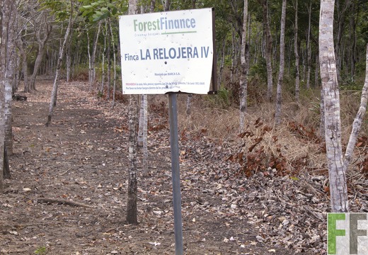 Finca La Relojera III-IV 2019