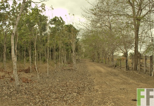 Finca La Relojera III-IV 2019