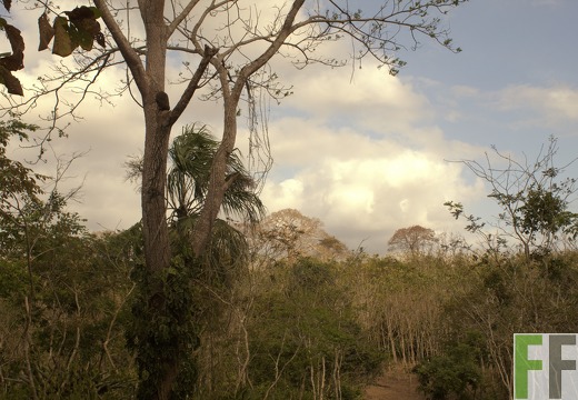 Finca La Relojera III-IV 2019