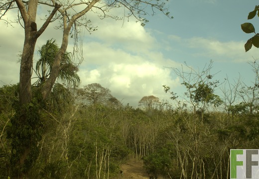 Finca La Relojera III-IV 2019