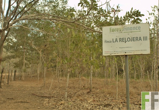 Finca La Relojera III-IV 2019