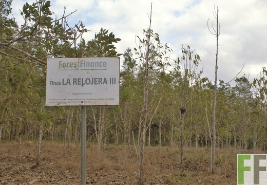 Finca La Relojera III-IV 2019