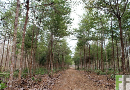 Finca La Relojera I-II 2019