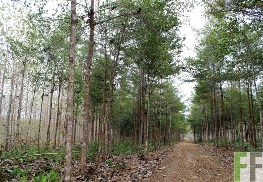 Finca La Relojera I-II 2019