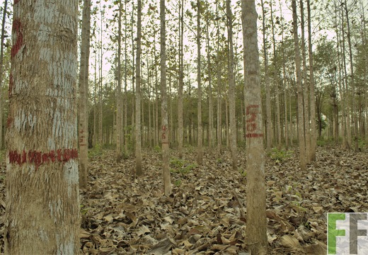 Finca La Relojera I-II 2019