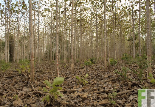 Finca La Relojera I-II 2019
