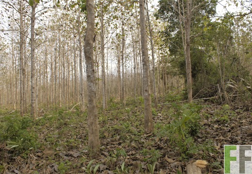 Finca La Relojera I-II 2019