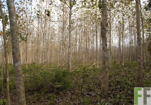 Finca La Relojera I-II 2019