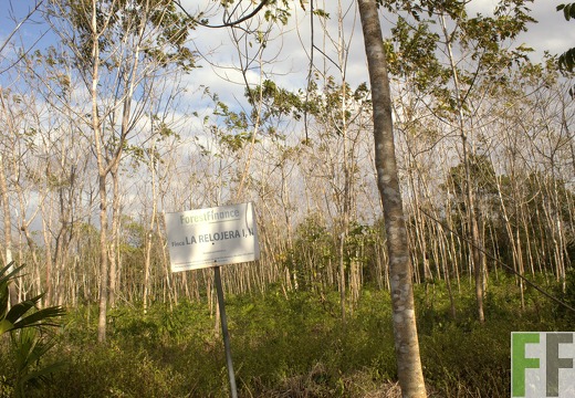 Finca La Relojera I-II 2019