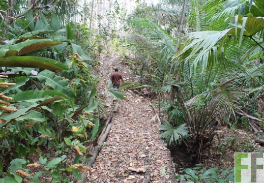 Finca Cleopatra I 2019