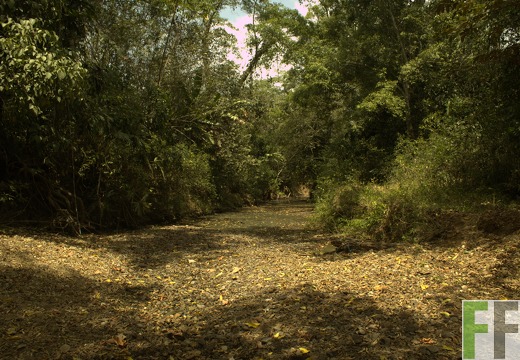 Finca Metetí I 2019