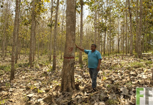 Finca Metetí I 2019