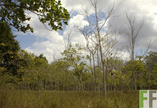 Finca Metetí I 2019