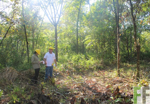 Finca Pampanillo 2019