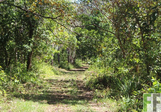 Finca Pampanillo 2019