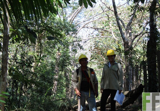 Finca Pampanillo 2019