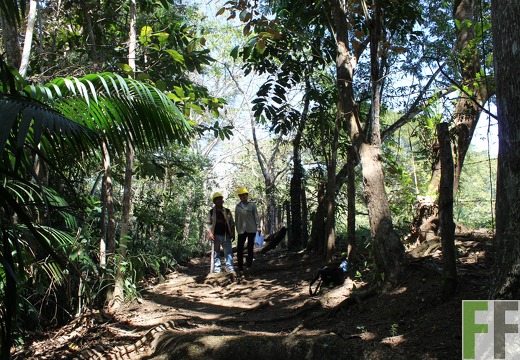 Finca Pampanillo 2019