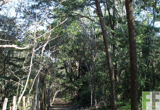 Finca Pampanillo 2019