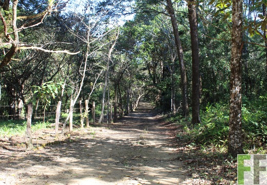 Finca Pampanillo 2019