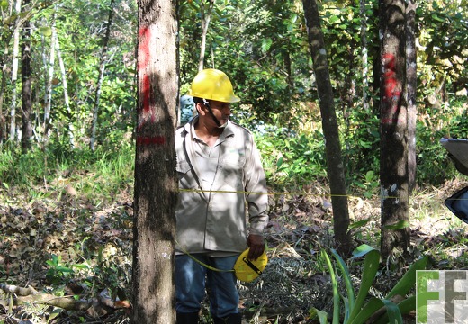 Finca Pampanillo 2019