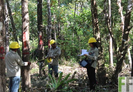 Finca Pampanillo 2019