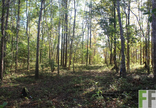 Finca El Espejo 2019